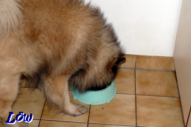 11.12.2025 - Endlich